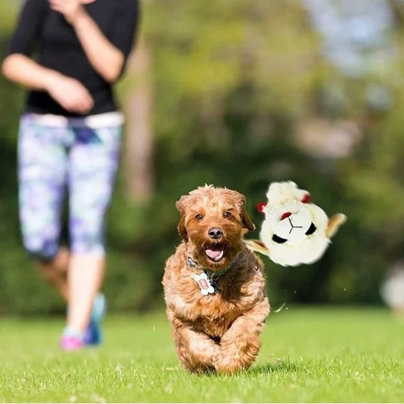 Multipet Lamb Chop Head Dog Ball Squeaky Toy - Picture 2 of 5